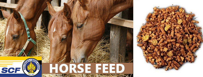 horse feed